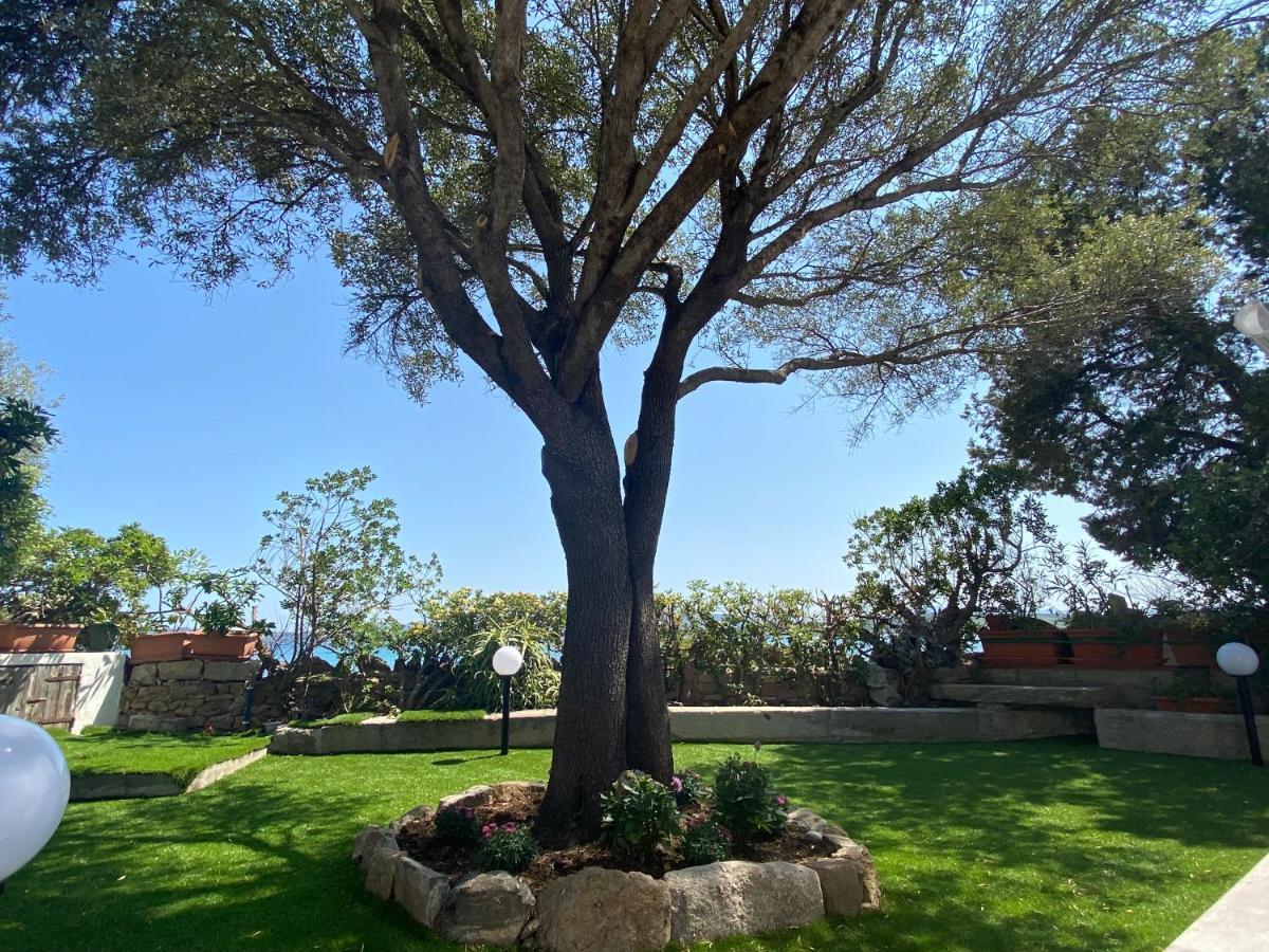 La Casa Sull'Acqua Villa Olbia Buitenkant foto